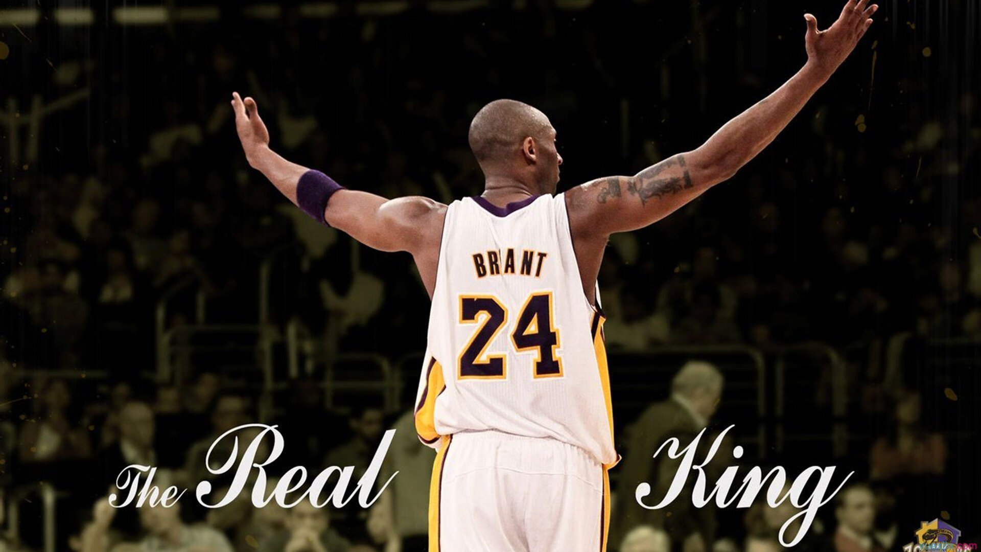 快船踏平灰熊,马克西在意甲焦点战接管比赛,体育世界里的征服与统治